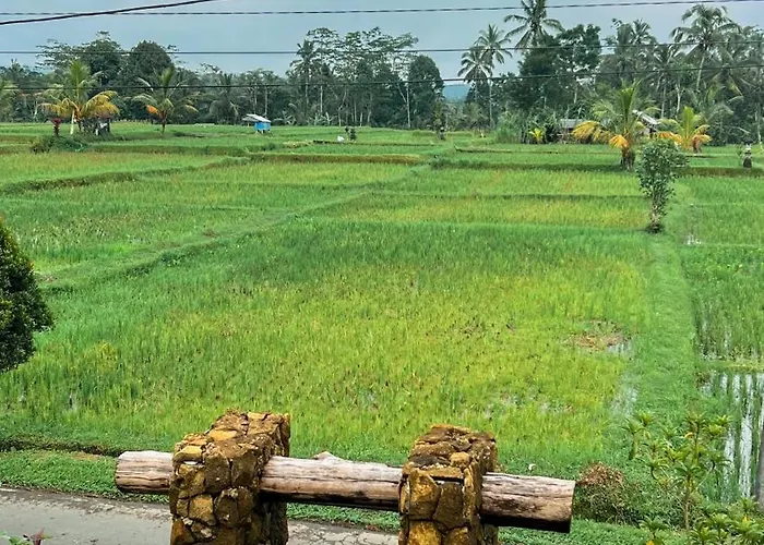 Lila Sari With Breakfast ゲストハウス Penginyahan
